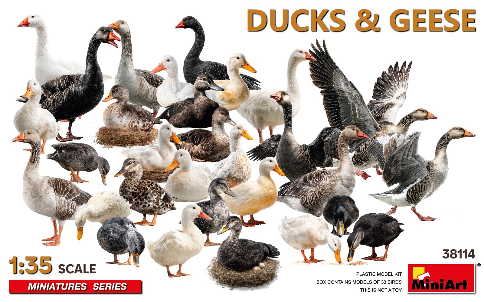 DUCKS & GEESE