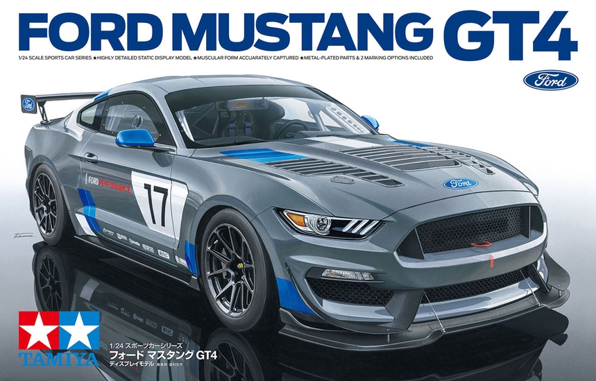 Ford Mustang GT4 Race Car
