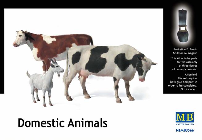 Domestic Animals  Domestic Animals