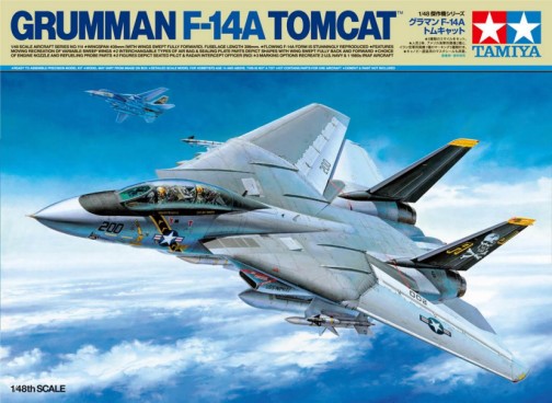 F-14A Tomcat Fighter
